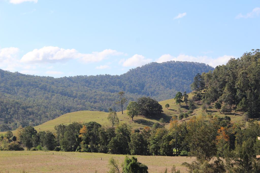 Greenlee Cottages Canungra Buitenkant foto